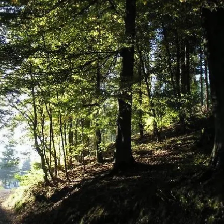 Haus Merian 3 * Winterberg
